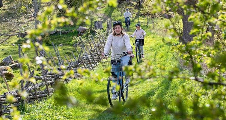 En familj cyklar i det gröna landskapet.