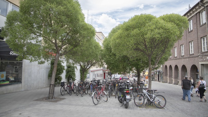 Torg med träd och parkerade cyklar i en småstad med lägre hus. Några personer går på kullerstensgatan.
